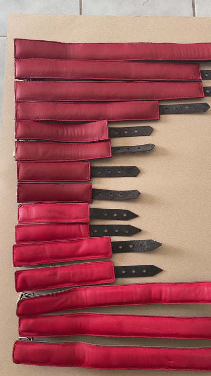 Custom belts for shawn